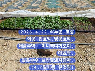 박성민님의 자유주제 · 자유게시판 작성글 사진