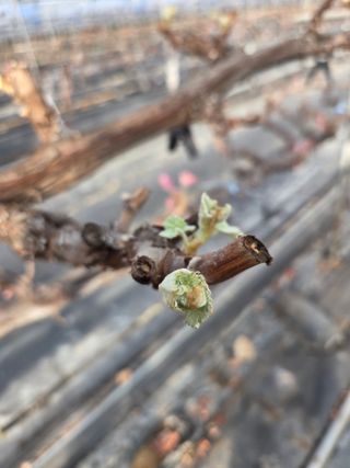 태일농산이정수님의 자유주제 · 자유게시판 작성글 사진