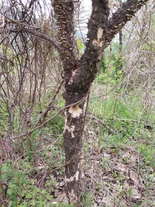 갑을 매실님의 자유주제 · 자유게시판 작성글 사진