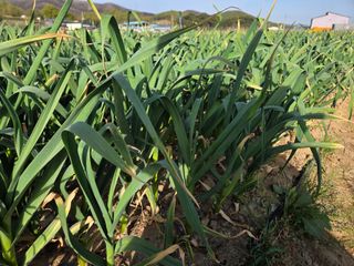 김태혁님의 자유주제 · 자유게시판 작성글 사진