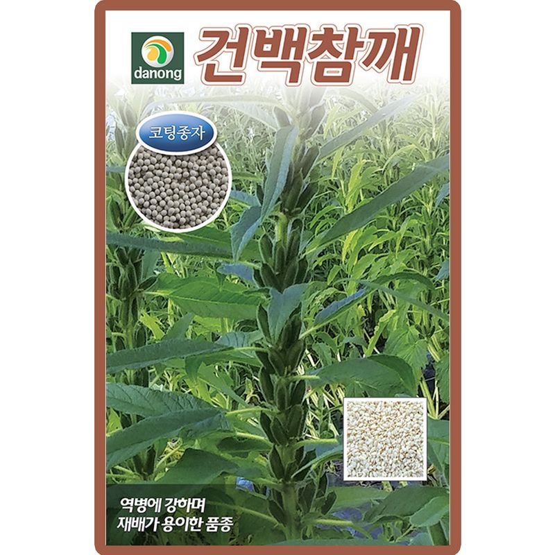 산들마켓,씨앗마켓님의 장터 판매 상품 [건백참깨 씨앗 3000립 역병강한 백색 참깨씨 종자] 첨부 사진