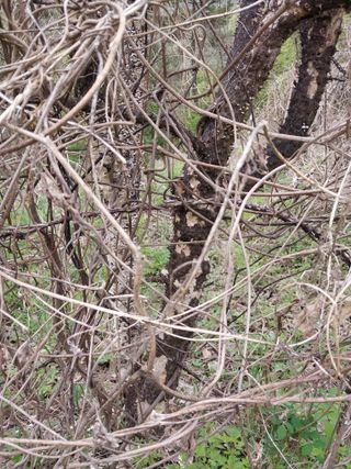 갑을 매실님의 자유주제 · 자유게시판 작성글 사진