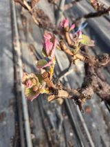 태일농산이정수님의 자유주제·자유게시판 작성글 사진