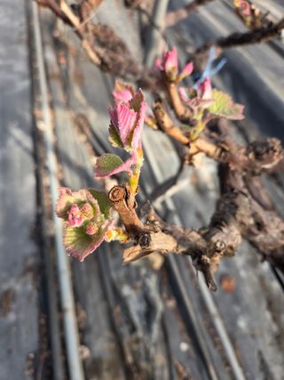 태일농산이정수님의 자유주제 · 자유게시판 작성글 사진