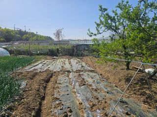 청산거사님의 자유주제 · 자유게시판 작성글 사진