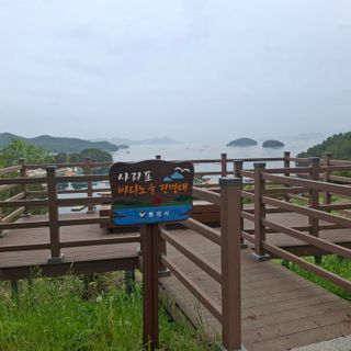 오영도님의 자유주제 · 자유게시판 작성글 사진