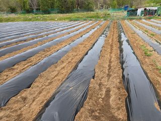 들꽃농장님의 자유주제 · 자유게시판 작성글 사진