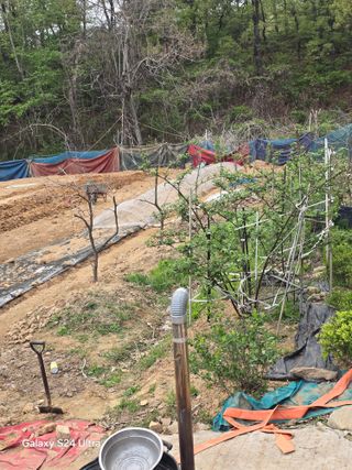 소병찬님의 농사, 무엇이든 물어보세요! · 참여글 작성글 사진