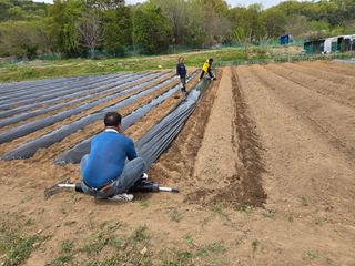 들꽃농장님의 자유주제 · 자유게시판 작성글 사진