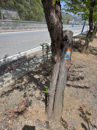 김용대님의 자유주제 · 자유게시판 작성글 사진