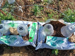 금동이네님의 자유주제 · 자유게시판 작성글 사진