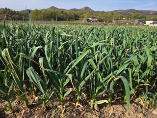 김태혁님의 자유주제 · 자유게시판 작성글 사진