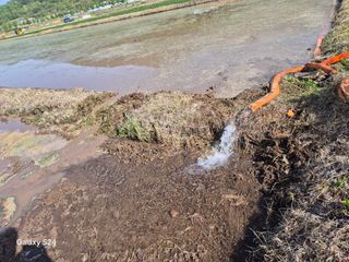 사천시향촌동 돼지띠님의 자유주제 · 자유게시판 작성글 사진