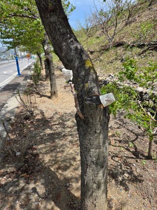 김용대님의 자유주제 · 자유게시판 작성글 사진