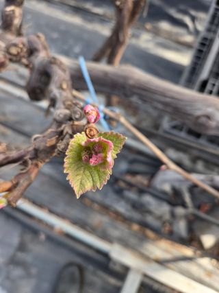태일농산이정수님의 자유주제 · 자유게시판 작성글 사진