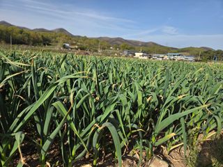 김태혁님의 자유주제 · 자유게시판 작성글 사진