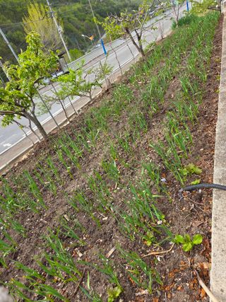 김용대님의 자유주제 · 자유게시판 작성글 사진