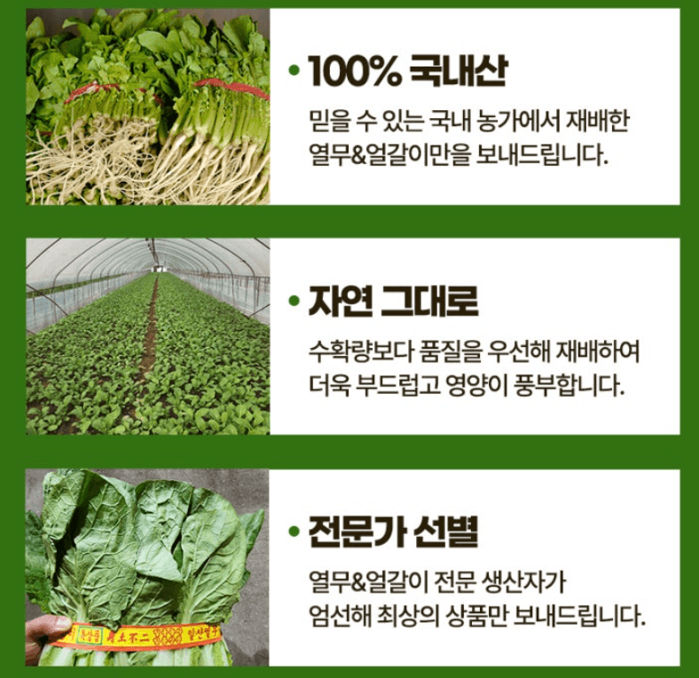 스피드번님의 장터 판매 상품 [열무 + 얼갈이 세트] 첨부 사진