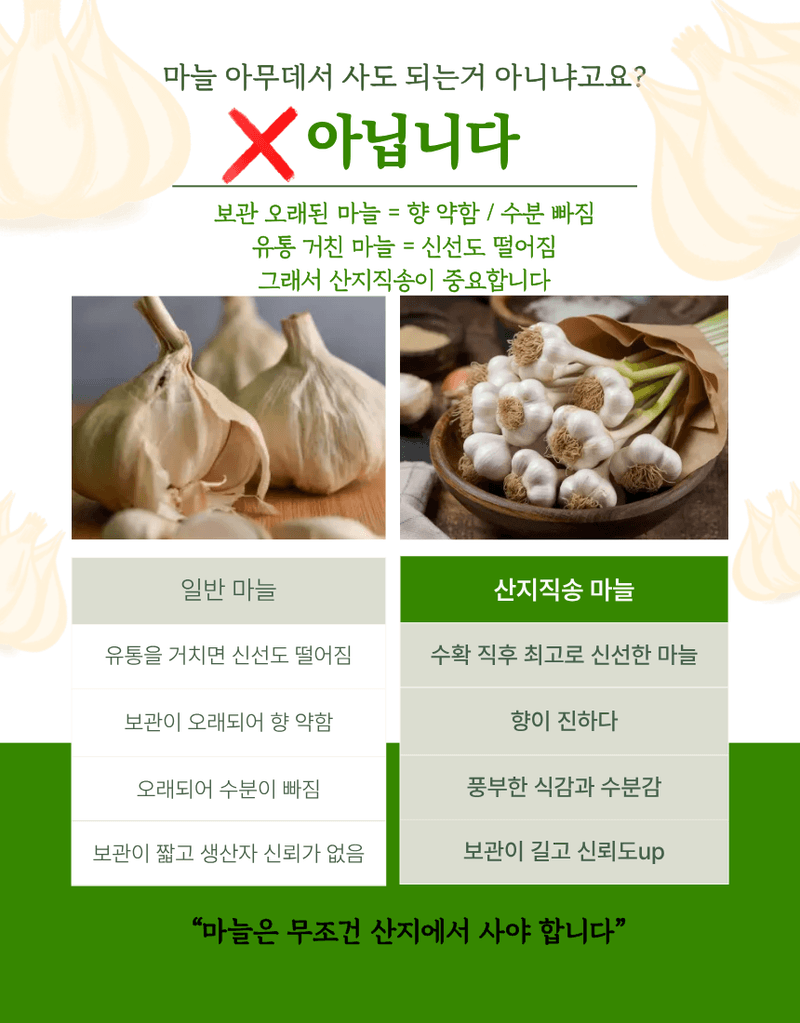 김태혁님의 장터 판매 상품 [햇마늘 통마늘 난지형 대서마늘] 첨부 사진