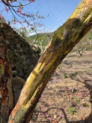 김용대님의 자유주제 · 자유게시판 작성글 사진