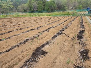 들꽃농장님의 자유주제 · 자유게시판 작성글 사진