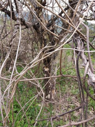 갑을 매실님의 자유주제 · 자유게시판 작성글 사진