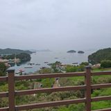 팜모닝 자유주제·자유게시판 게시글 이미지