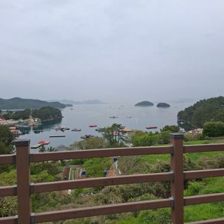 오영도님의 자유주제 · 자유게시판 작성글 사진