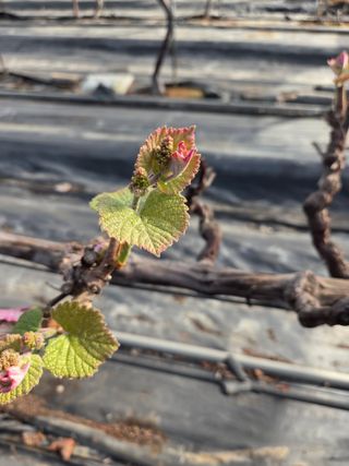 태일농산이정수님의 자유주제 · 자유게시판 작성글 사진