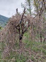 팜모닝 자유주제·자유게시판 게시글 이미지