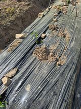 청산거사님의 자유주제·자유게시판 작성글 사진