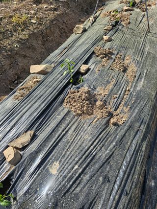 청산거사님의 자유주제 · 자유게시판 작성글 사진