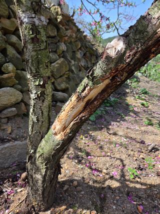 김용대님의 자유주제 · 자유게시판 작성글 사진