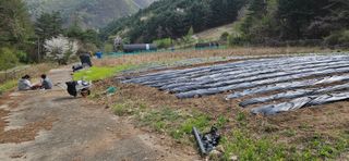 임 촌장.님의 자유주제 · 자유게시판 작성글 사진