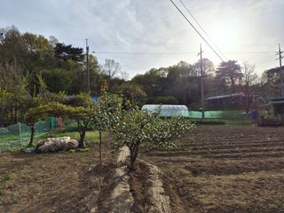 Kns4324님의 자유주제 · 자유게시판 작성글 사진