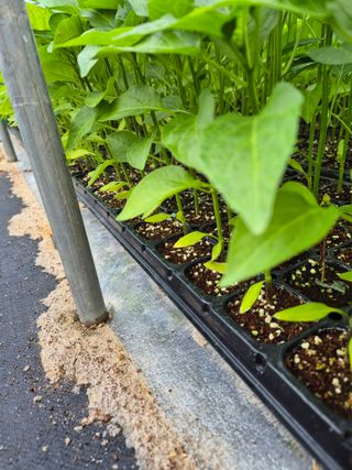 김영진(전남영광)님의 자유주제 · 자유게시판 작성글 사진
