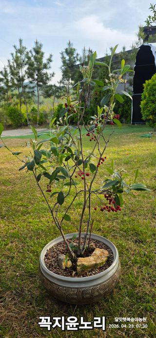 달맛햇복숭아농원님의 자유주제 · 사진전 작성글 사진
