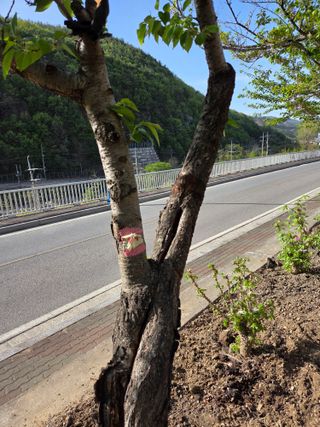김용대님의 자유주제 · 자유게시판 작성글 사진