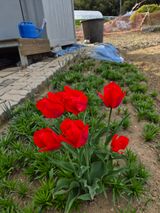 팜모닝 자유주제·자유게시판 게시글 이미지