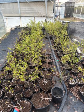 허주회님의 자유주제 · 자유게시판 작성글 사진