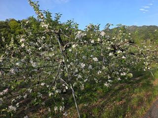 김재현님의 자유주제 · 자유게시판 작성글 사진