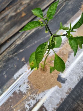 장례지도사1급님의 자유주제 · 자유게시판 작성글 사진