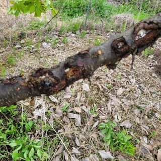 이창화님의 자유주제 · 자유게시판 작성글 사진