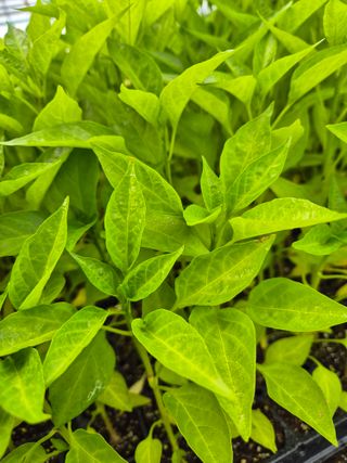 김영진(전남영광)님의 자유주제 · 자유게시판 작성글 사진