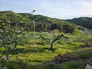김재현님의 자유주제 · 자유게시판 작성글 사진