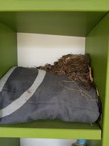 의성,군위 나상덕님의 자유주제·자유게시판 작성글 사진