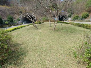 국중선님의 자유주제 · 자유게시판 작성글 사진