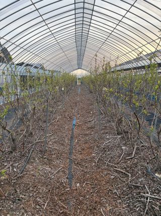 허주회님의 자유주제 · 자유게시판 작성글 사진