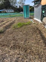 팜모닝 자유주제·자유게시판 게시글 이미지