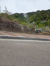 김용대님의 자유주제·자유게시판 작성글 사진